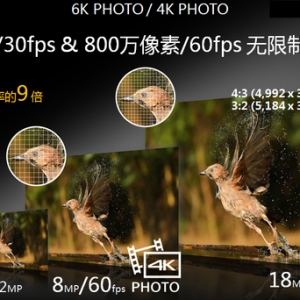 ޕr4KĔzLumix GH5ۃr
