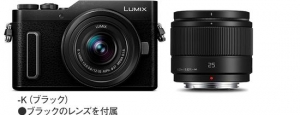 GFĆ᣿PanasoniclGF10СĿ