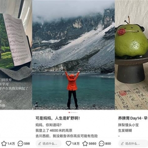 Ͷ됂Сtֿ_ǐϵ|WIN
